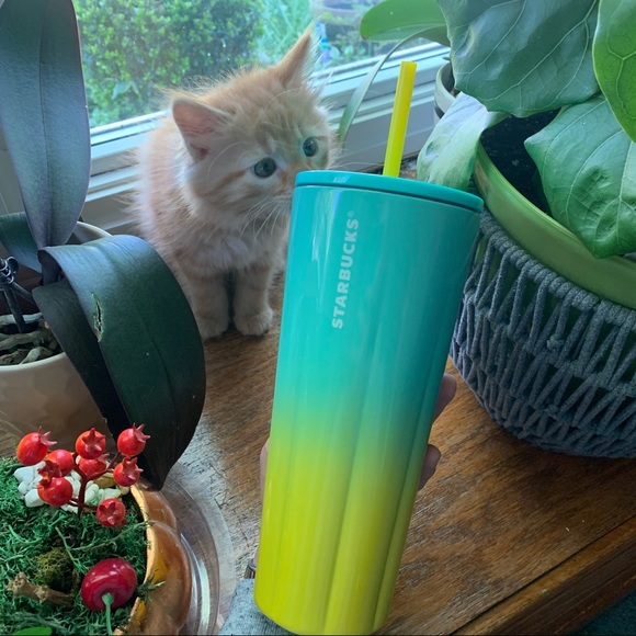 Starbucks Summer 2021 Ombré Tumbler